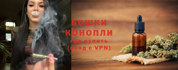 ALPHA PVP Богородицк